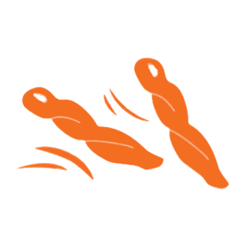 Cabonara