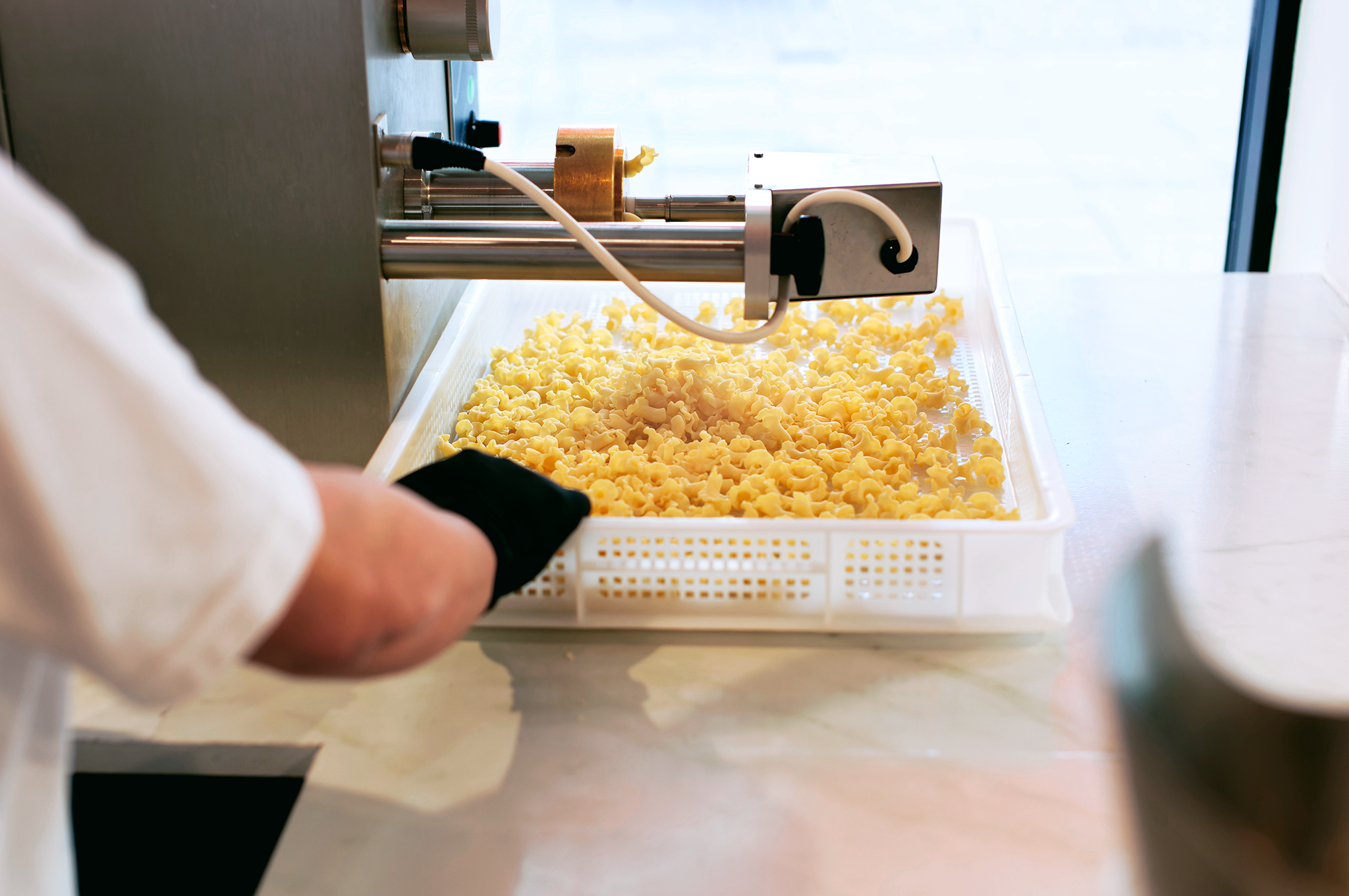 Pasta typer